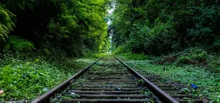 Train tracks surrounded by tree lines